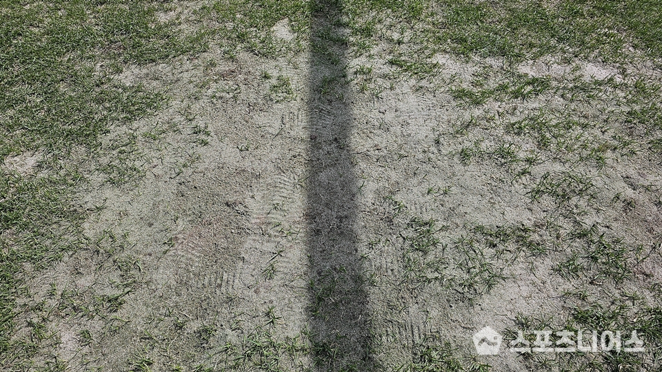 지난 해 광주축구전용구장 남측 골대 앞 잔디 ⓒ 스포츠니어스