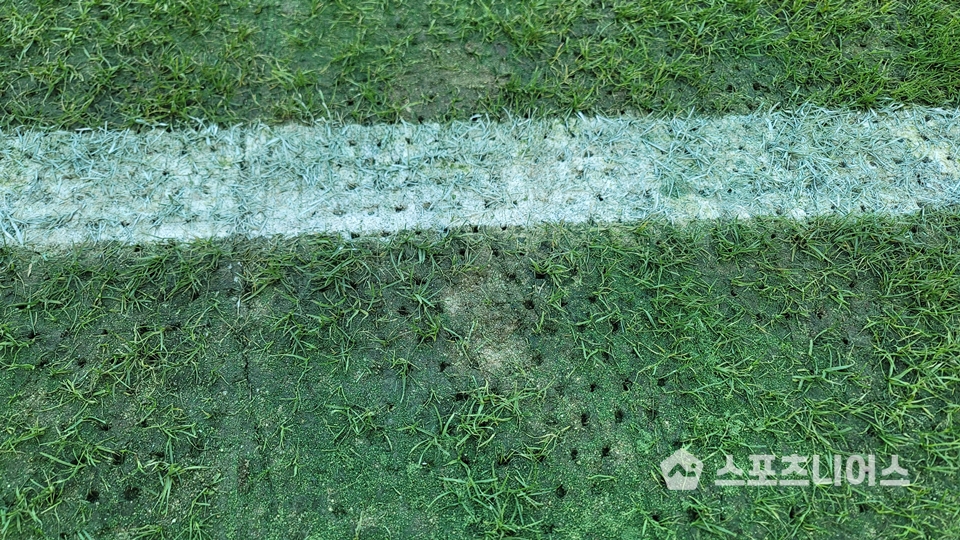 지난 해 FC서울과 대구FC의 경기 직전 서울월드컵경기장 터치라인 부근 잔디의 상태 ⓒ스포츠니어스